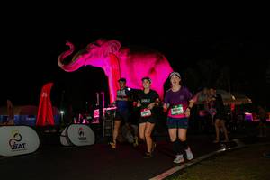 BIB: 
                            <button type="button" onclick="openModal(26543781)" class="btn btn-primary btn-sm float-right btn-popup" data-toggle="modal" data-target=".modal-high-quality">
                        <i class="fas fa-shopping-cart"></i> Add to Cart
                    </button>
                                            <button type="button" onclick="isThisMe(26543781, true)" class="btn btn-success btn-sm float-right btn-popup btn-isme hidden" data-toggle="tooltip" data-placement="bottom" title="นี่คือรูปของคุณใช่ไหม คลิกที่นี่เพื่อเอาเข้าอัลบั้ม">
                        <i class="fas fa-plus"></i> Add to album
                    </button>
                    <button type="button" onclick="isThisMe(26543781, false)" class="btn btn-warning btn-sm float-right btn-popup btn-isnotme hidden">
                        <i class="fas fa-ban"></i> Remove from album
                    </button>